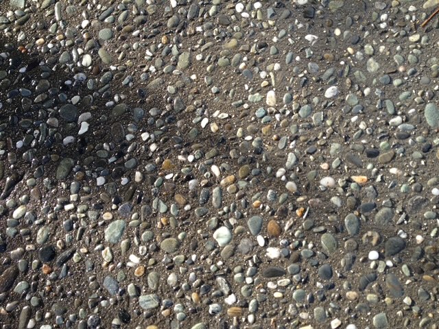 Concrete Driveways 6